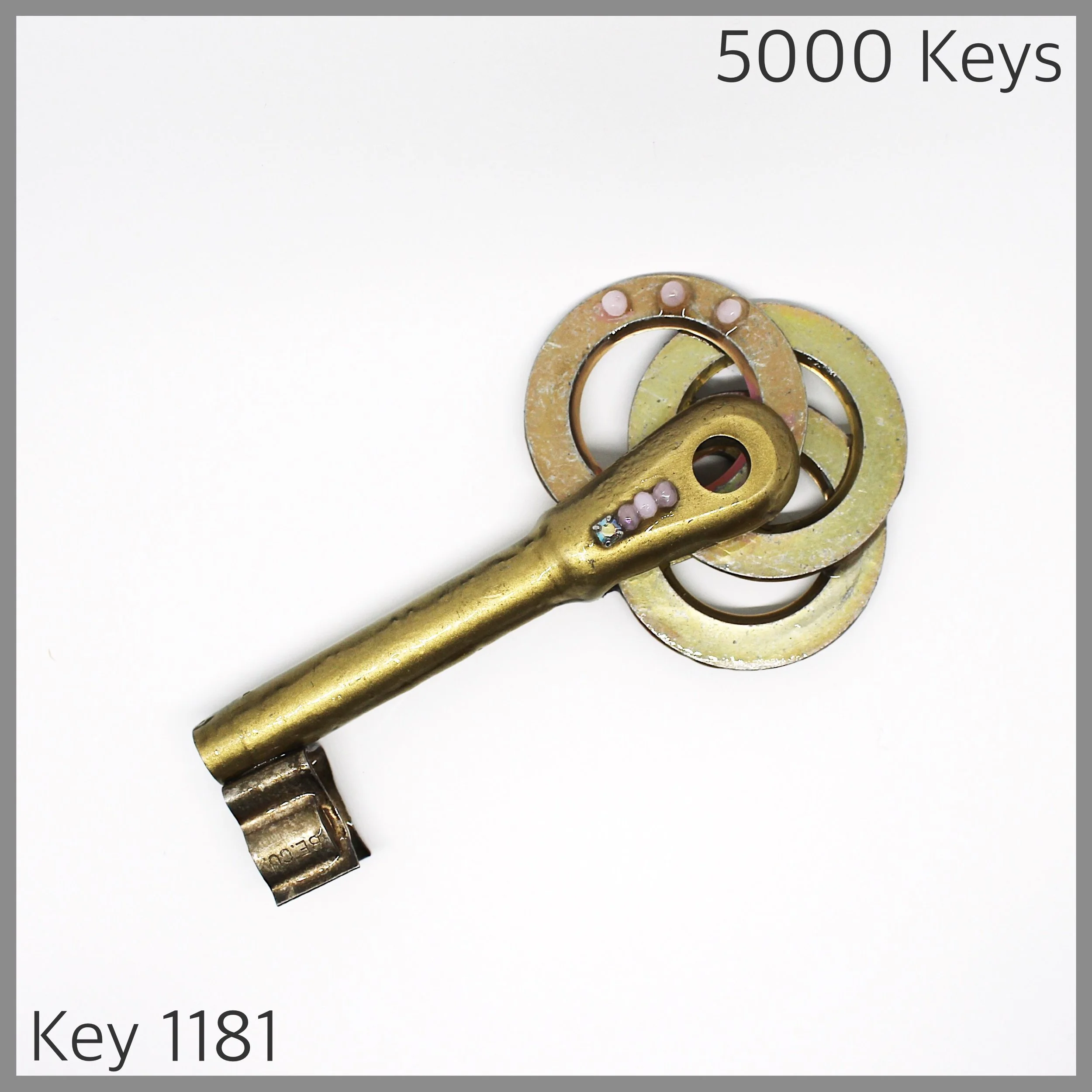 Key 1181 - 1.JPG
