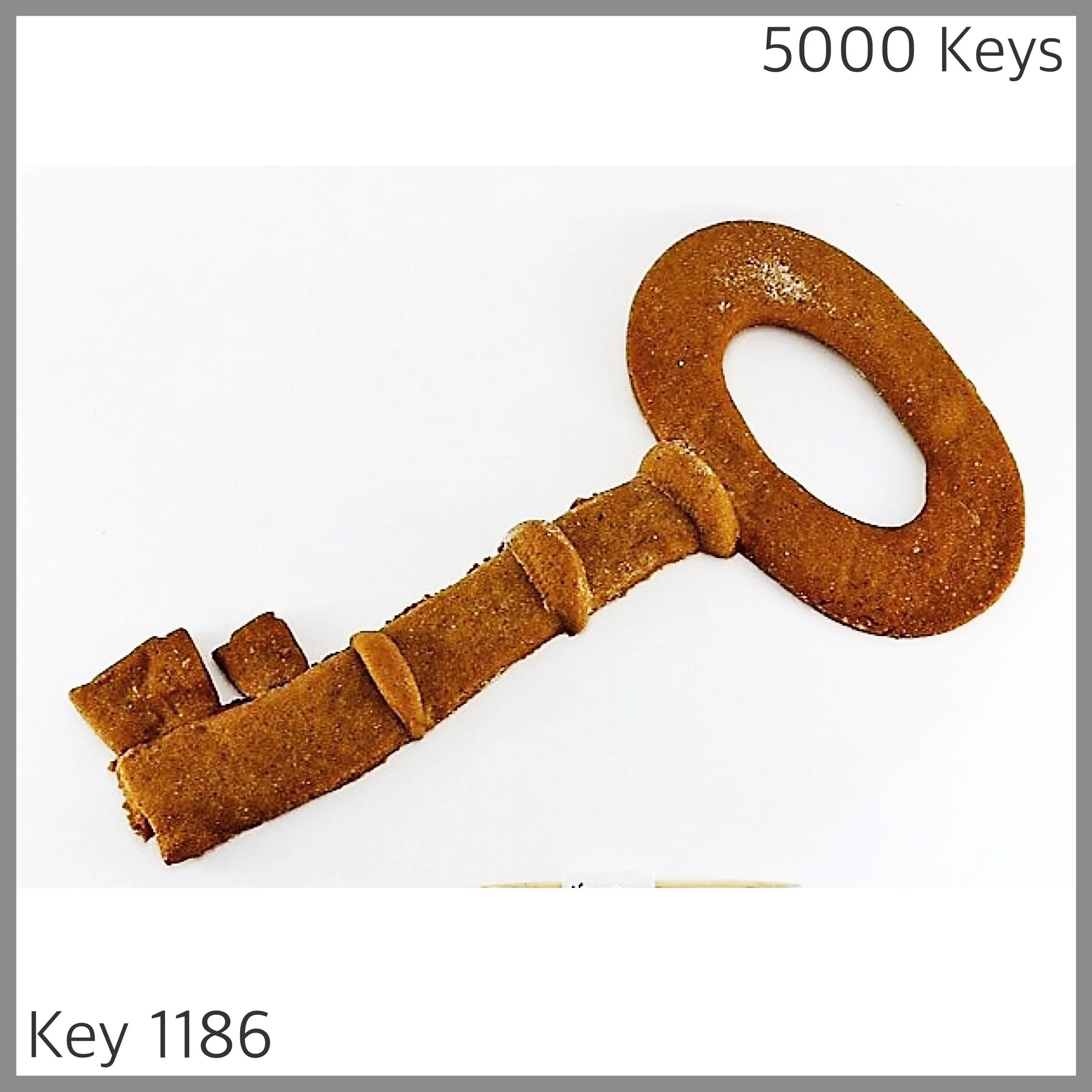 Key 1186 - 1.JPG