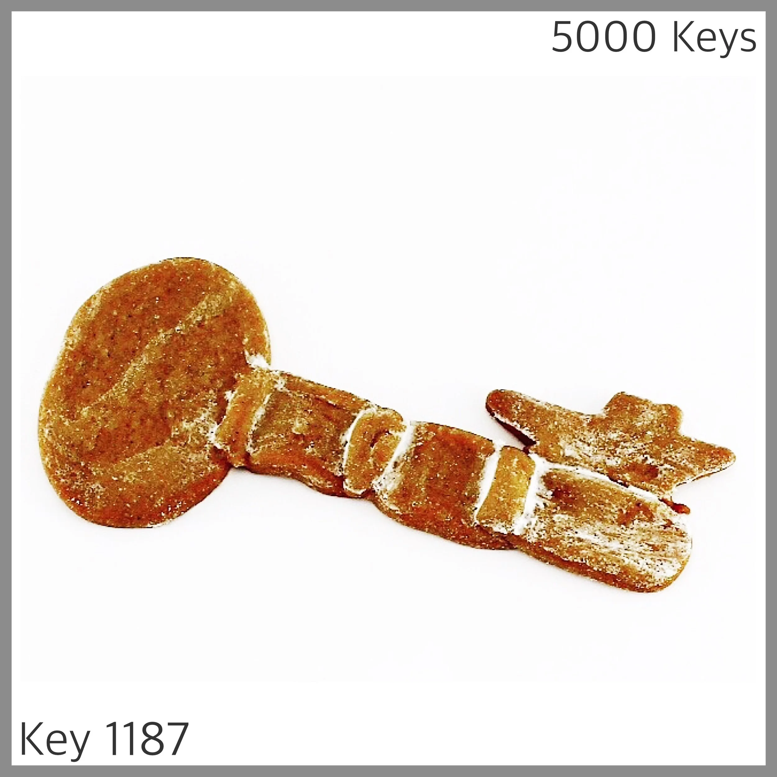 Key 1187 - 1.JPG