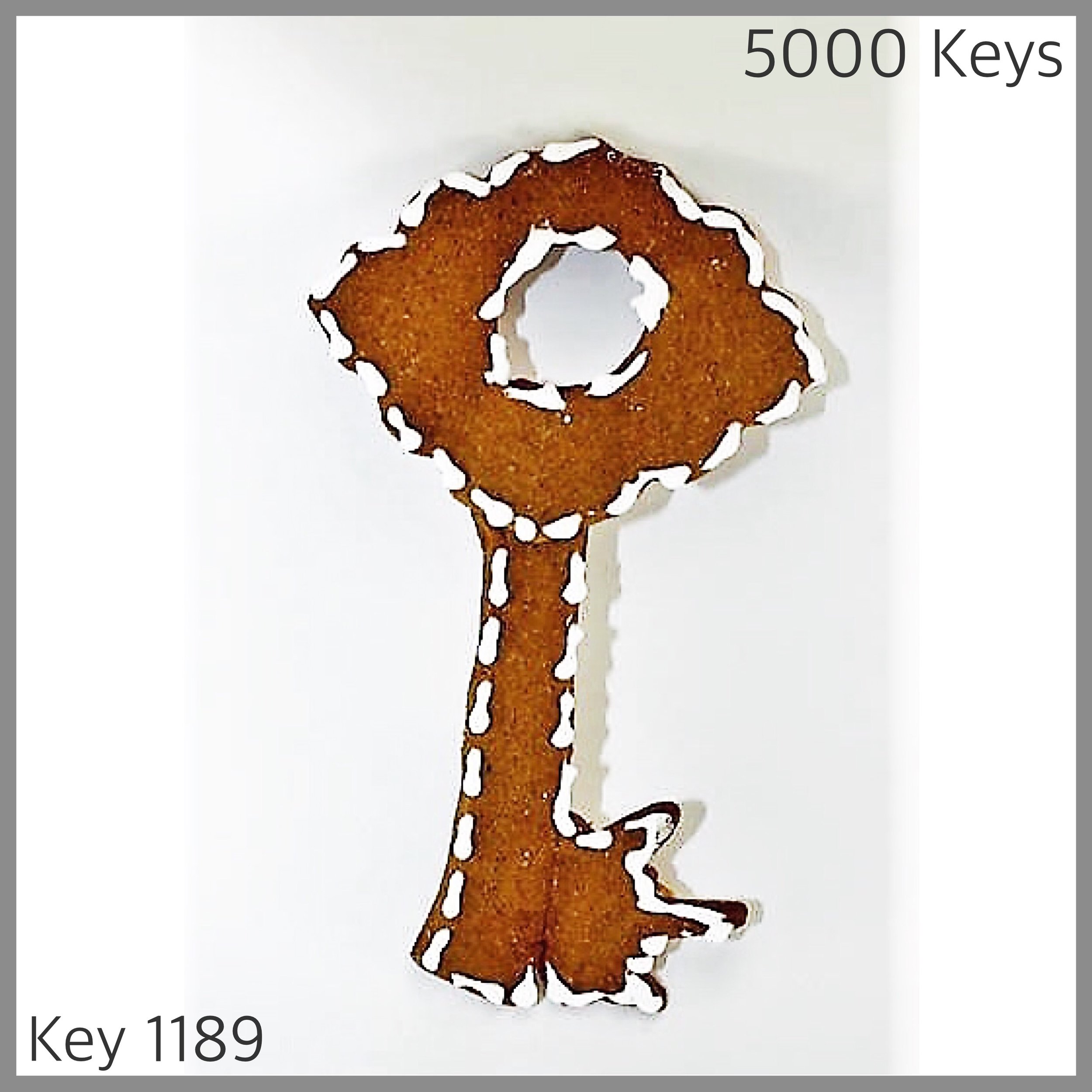 Key 1189 - 1.JPG