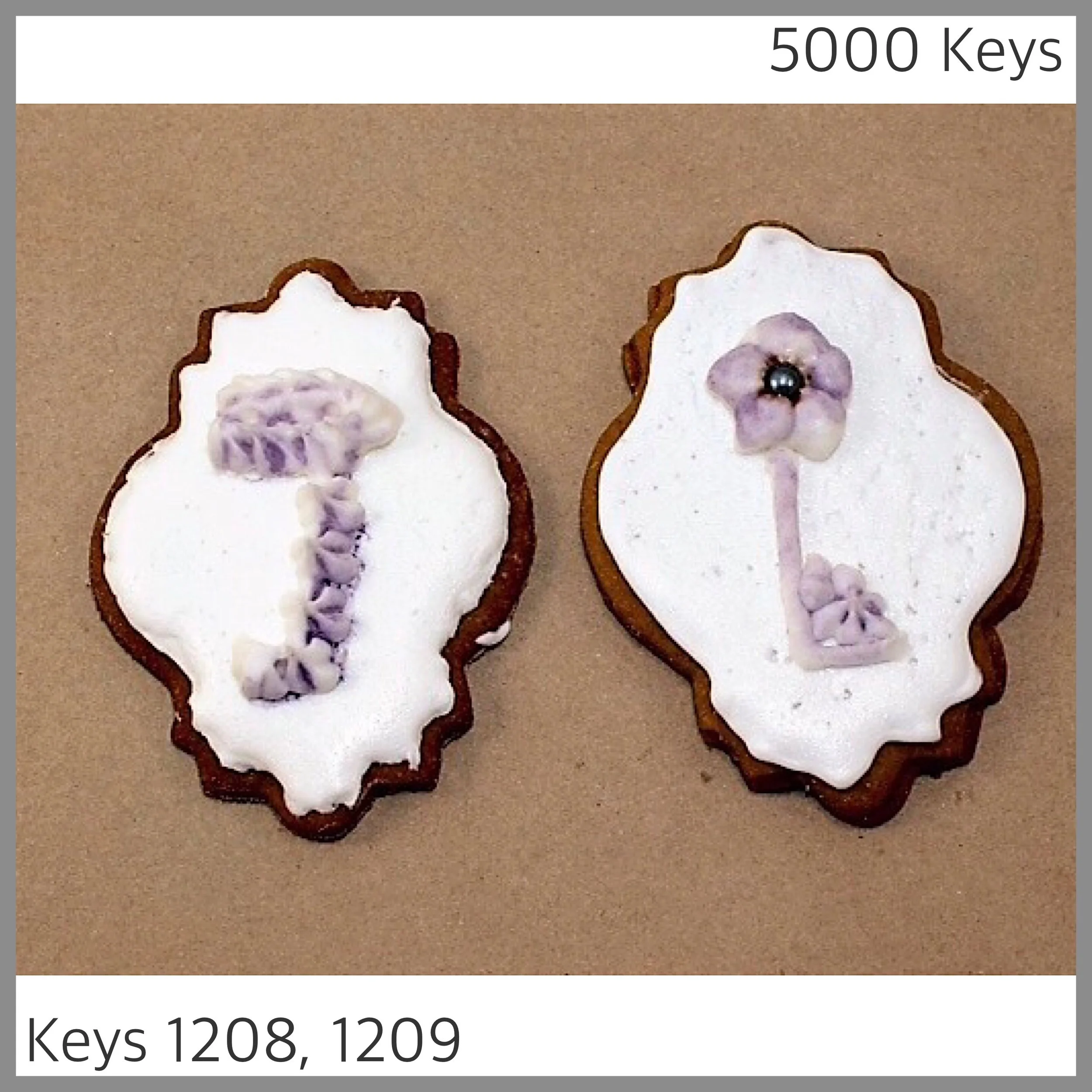Key 1208, 1209 - 1.JPG