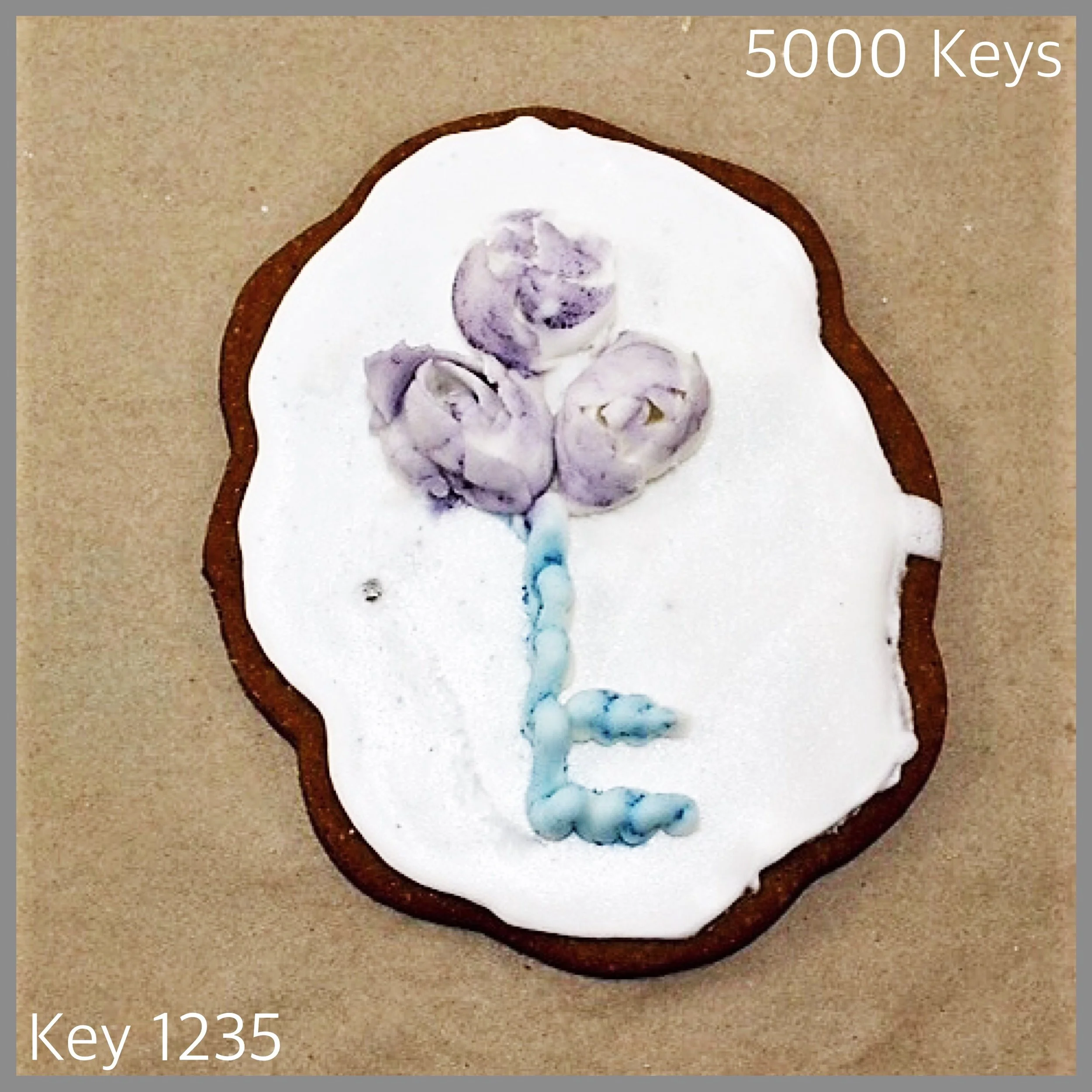 Key 1235 - 1.JPG