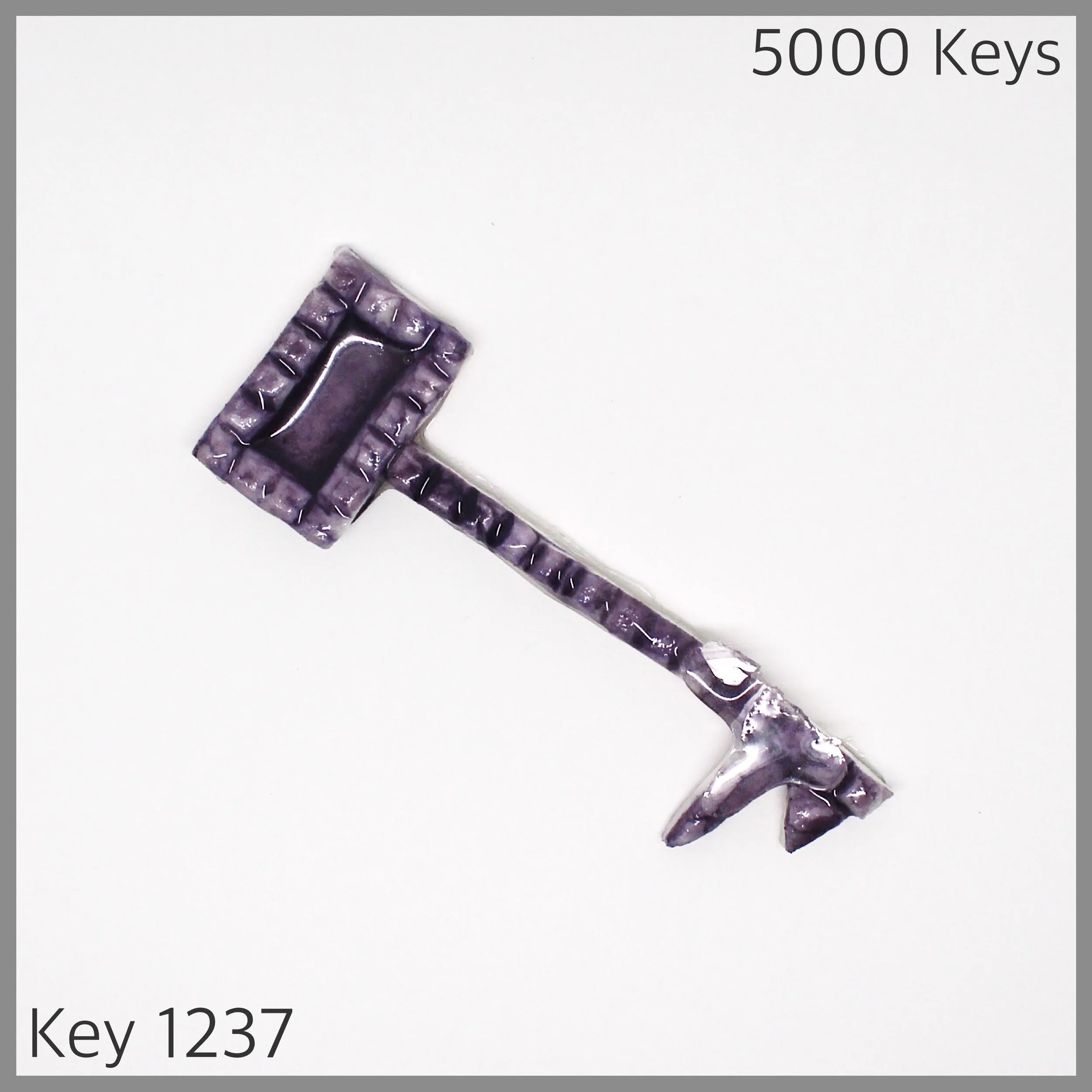 Key 1237 - 1.JPG