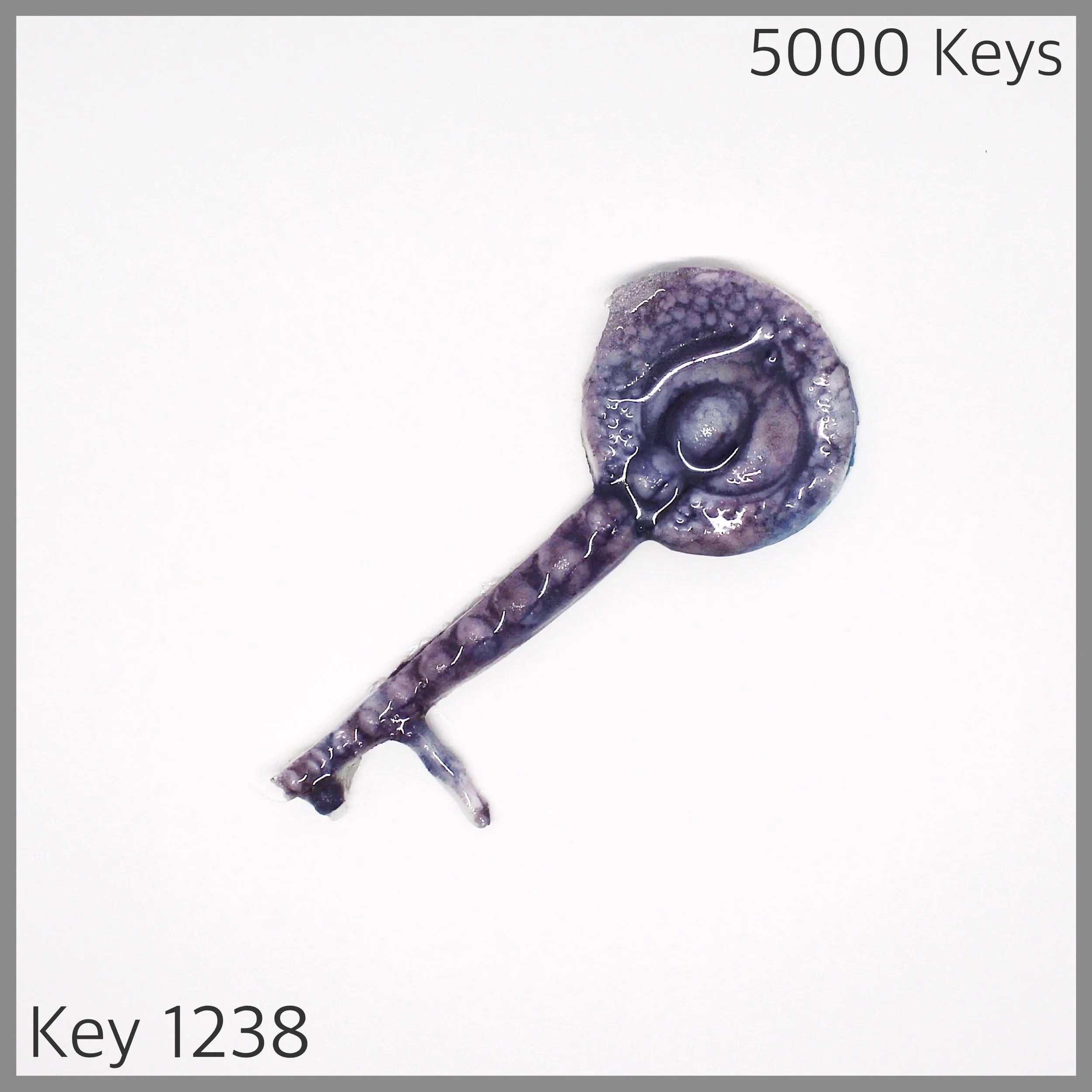 Key 1238 - 1.JPG