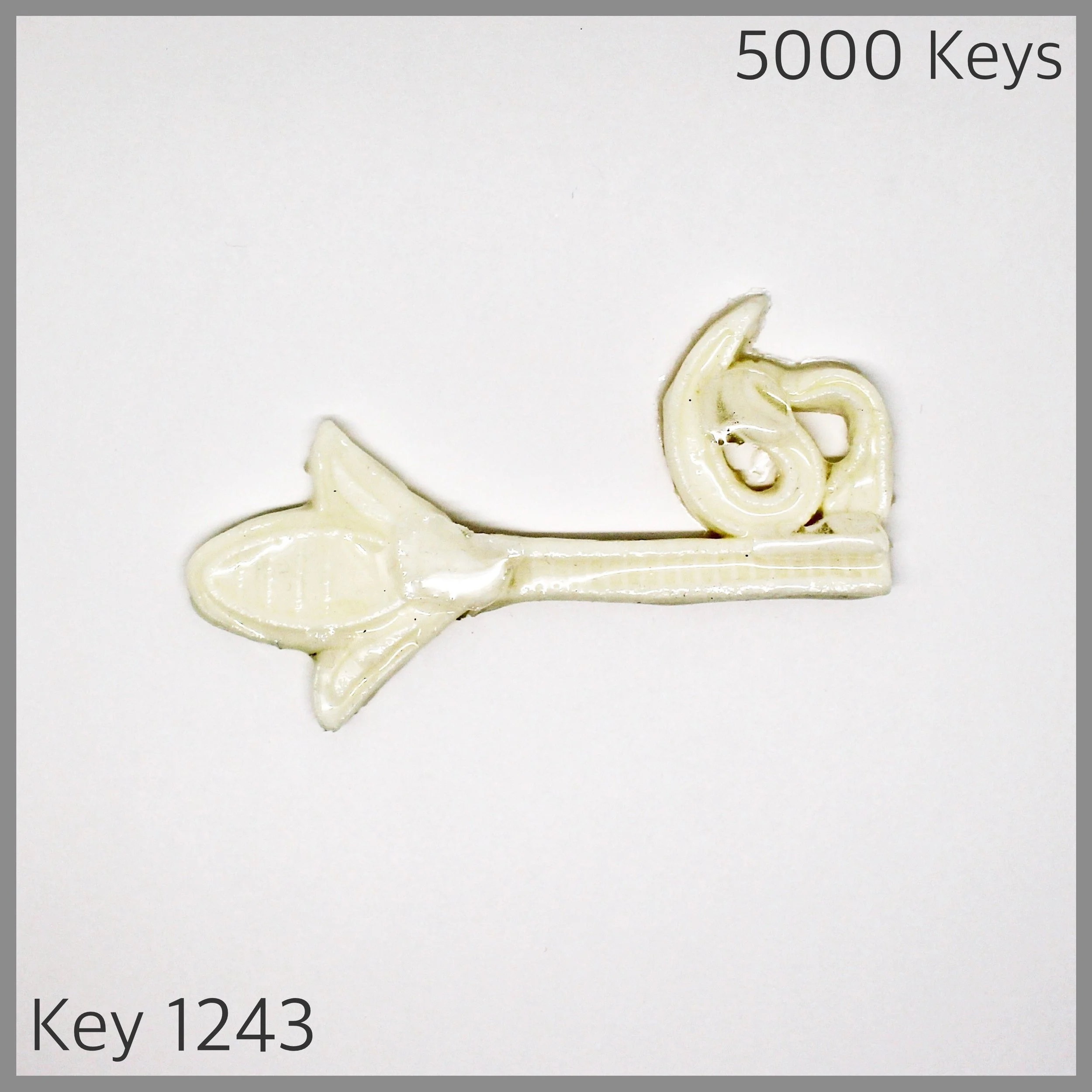 Key 1243 - 1.JPG