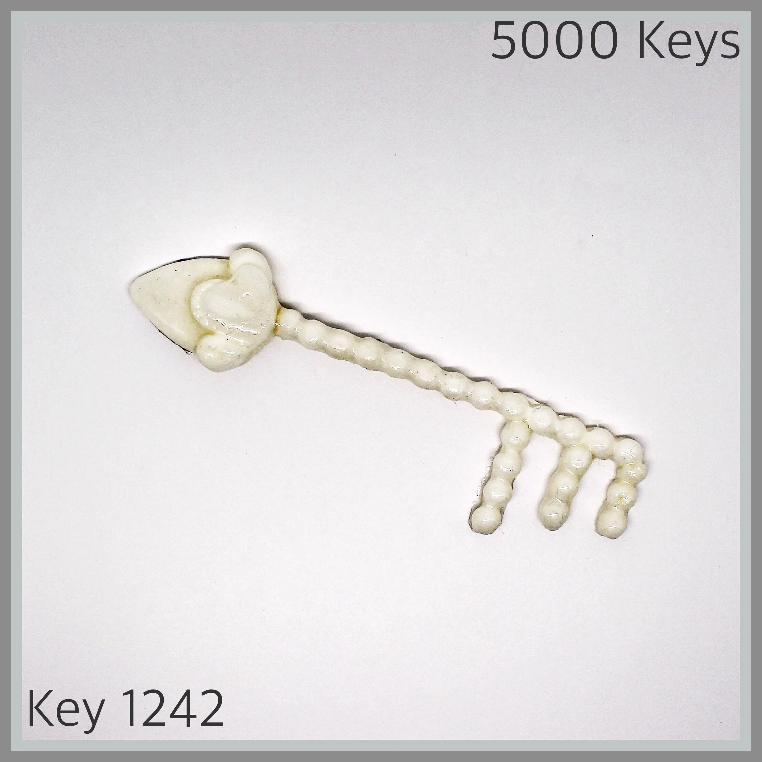 Key 1242 - 1.JPG