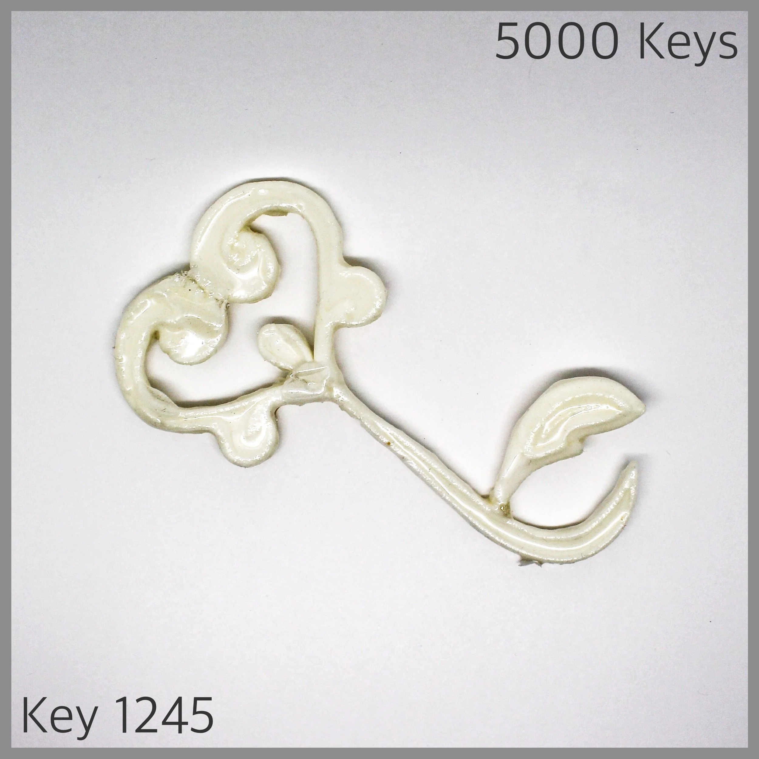 Key 1245 - 1.JPG