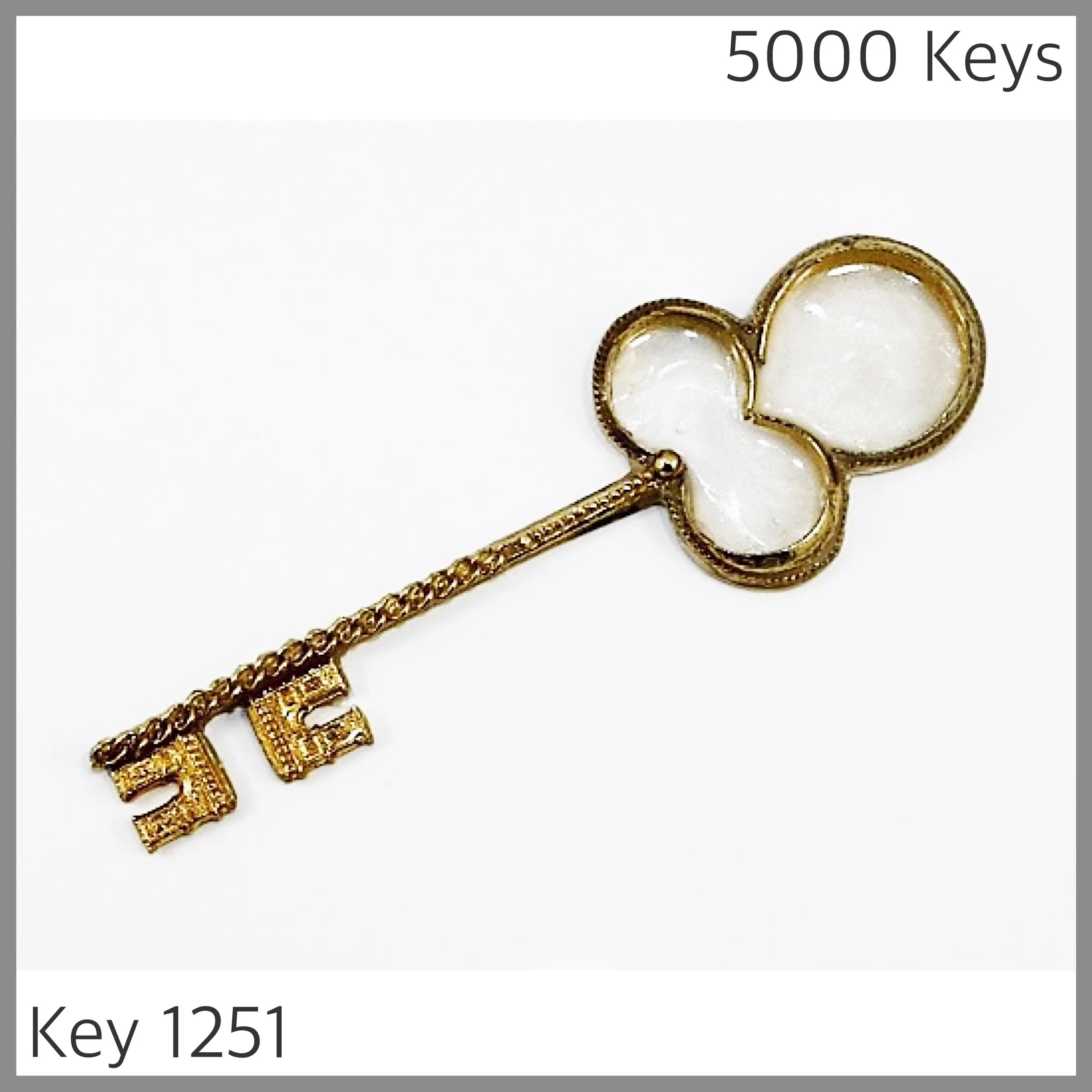 Key 1251 - 1.JPG