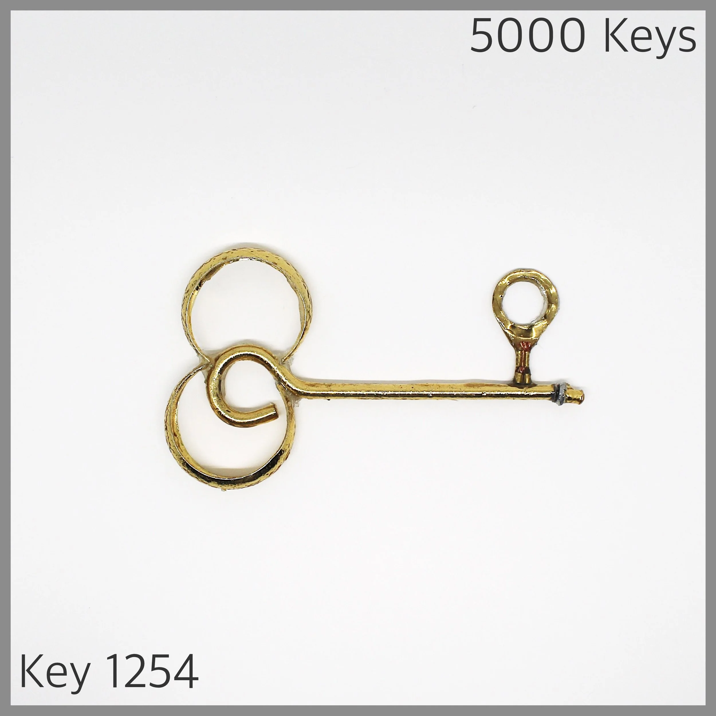 Key 1254 - 1.JPG