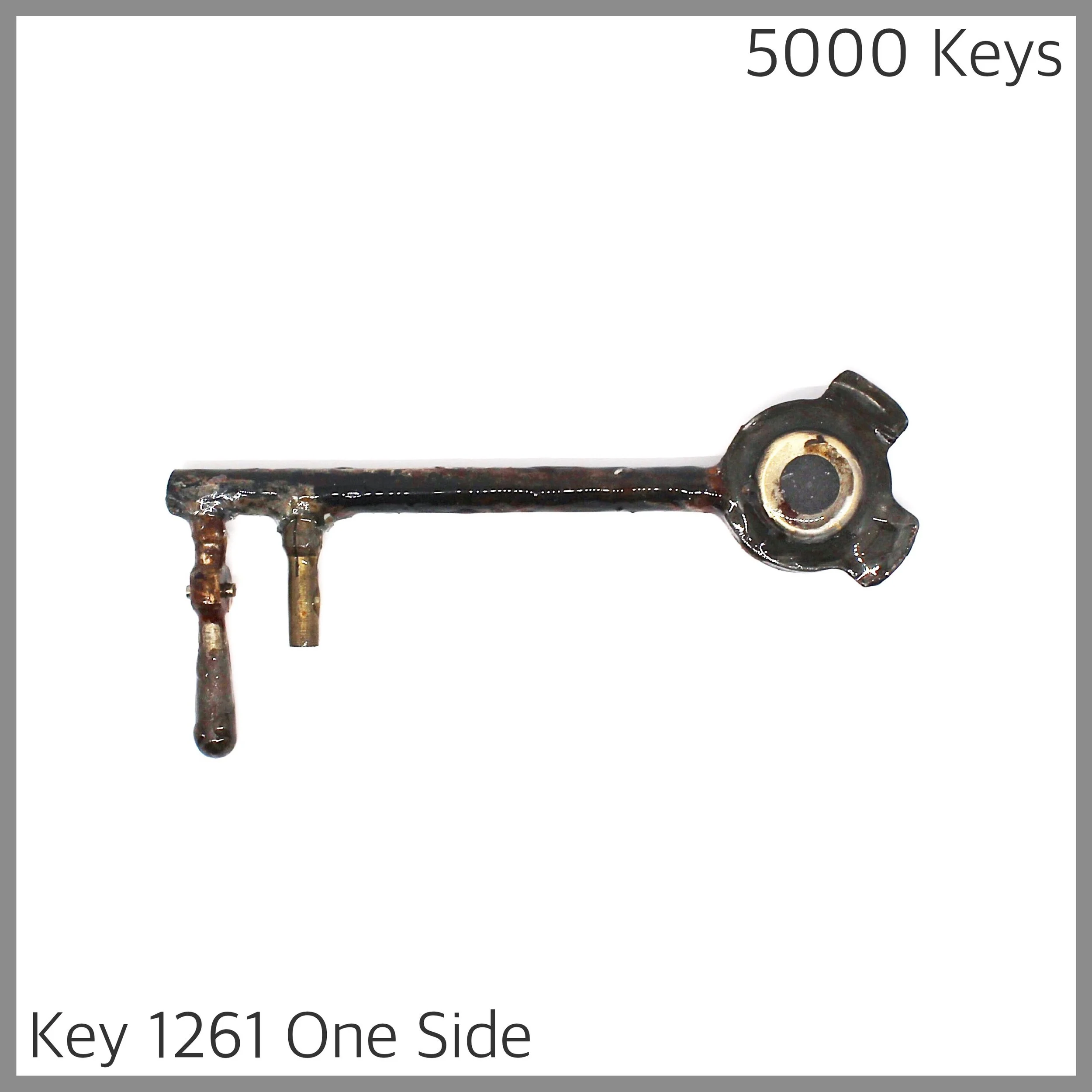 Key 1261 one side - 1.JPG