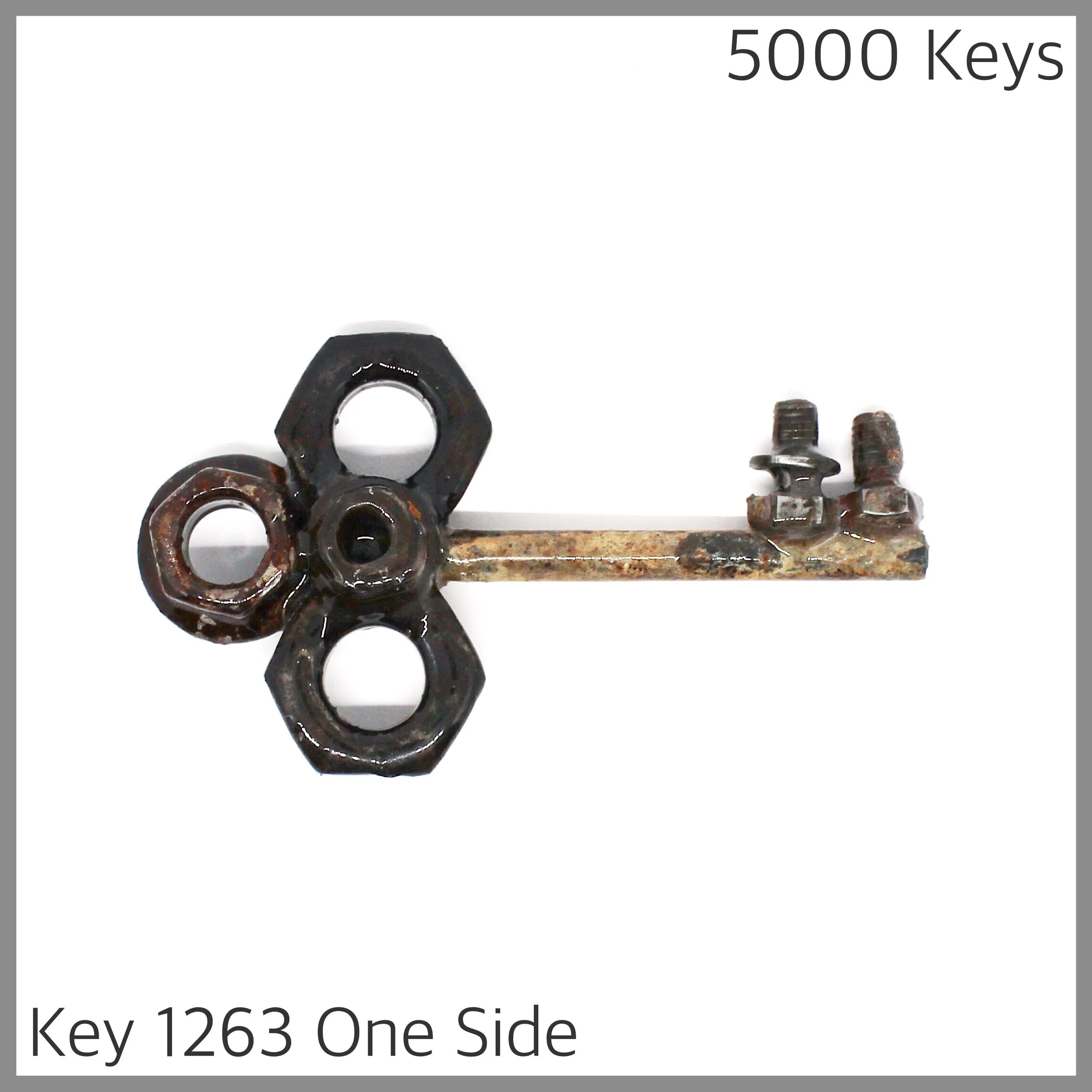 Key 1263 one side - 1.JPG