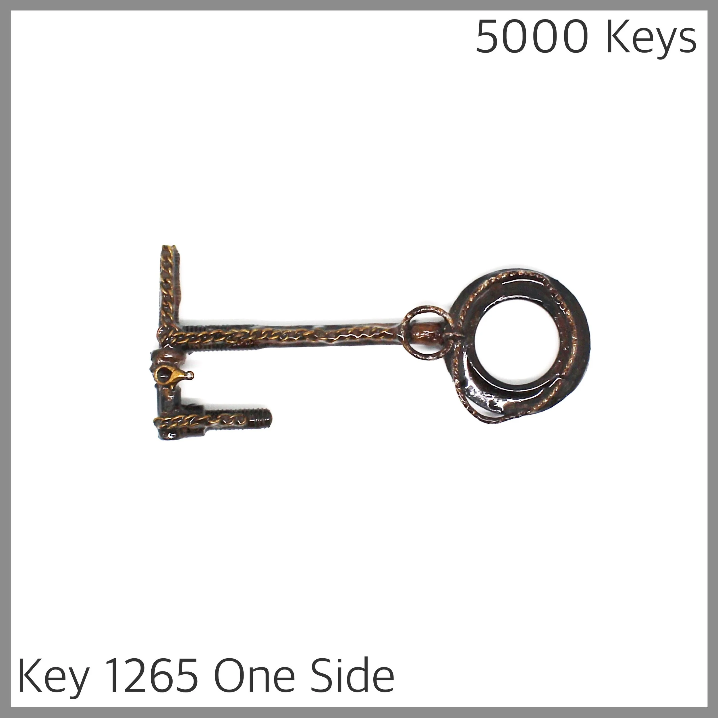 Key 1265 one side - 1.JPG