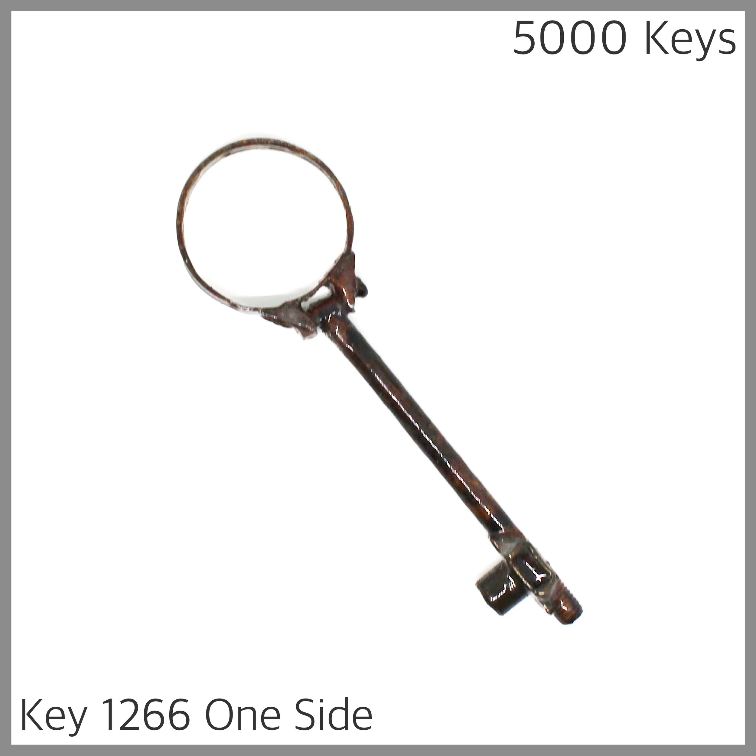 Key 1266 one side - 1.JPG
