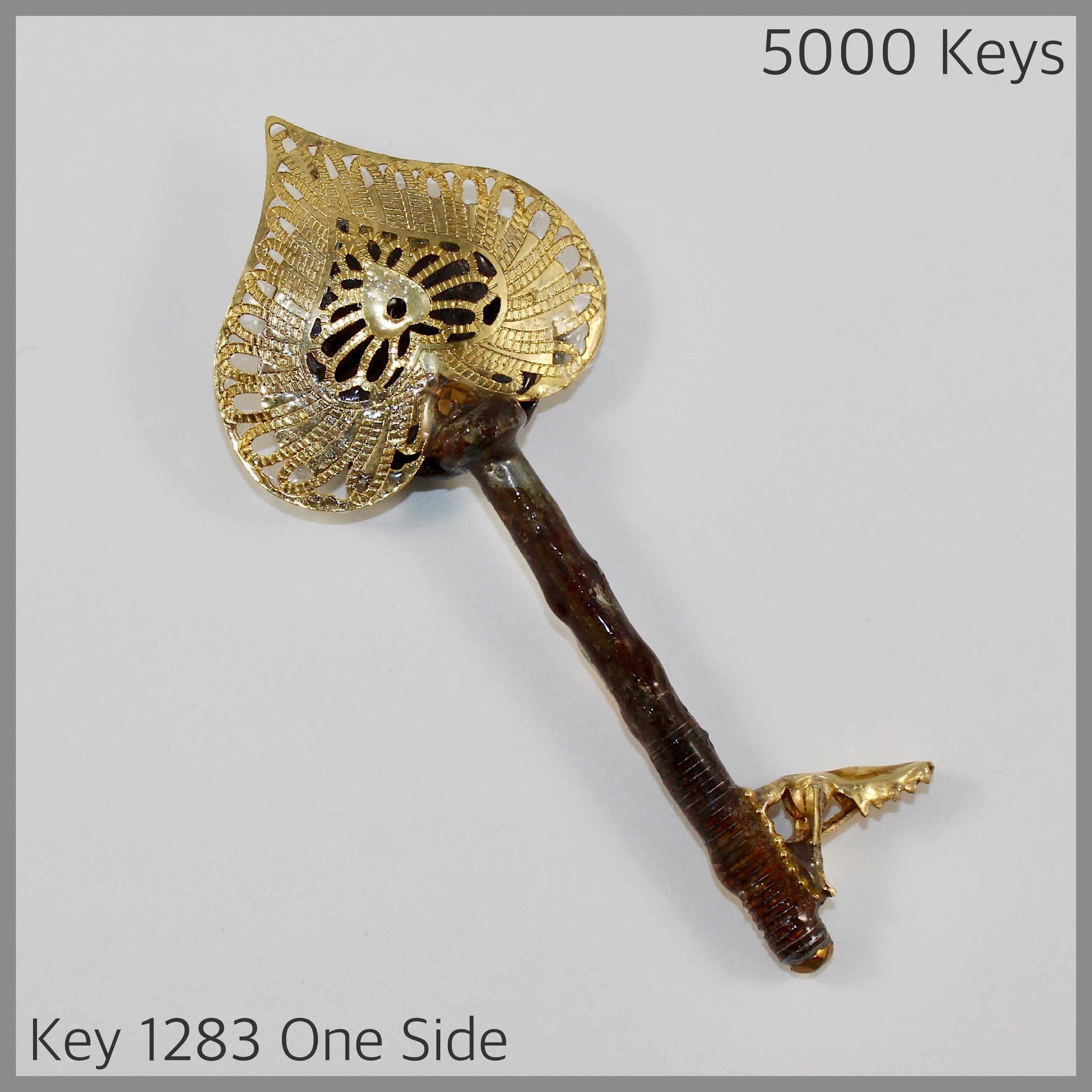Key 1283 one side.JPG