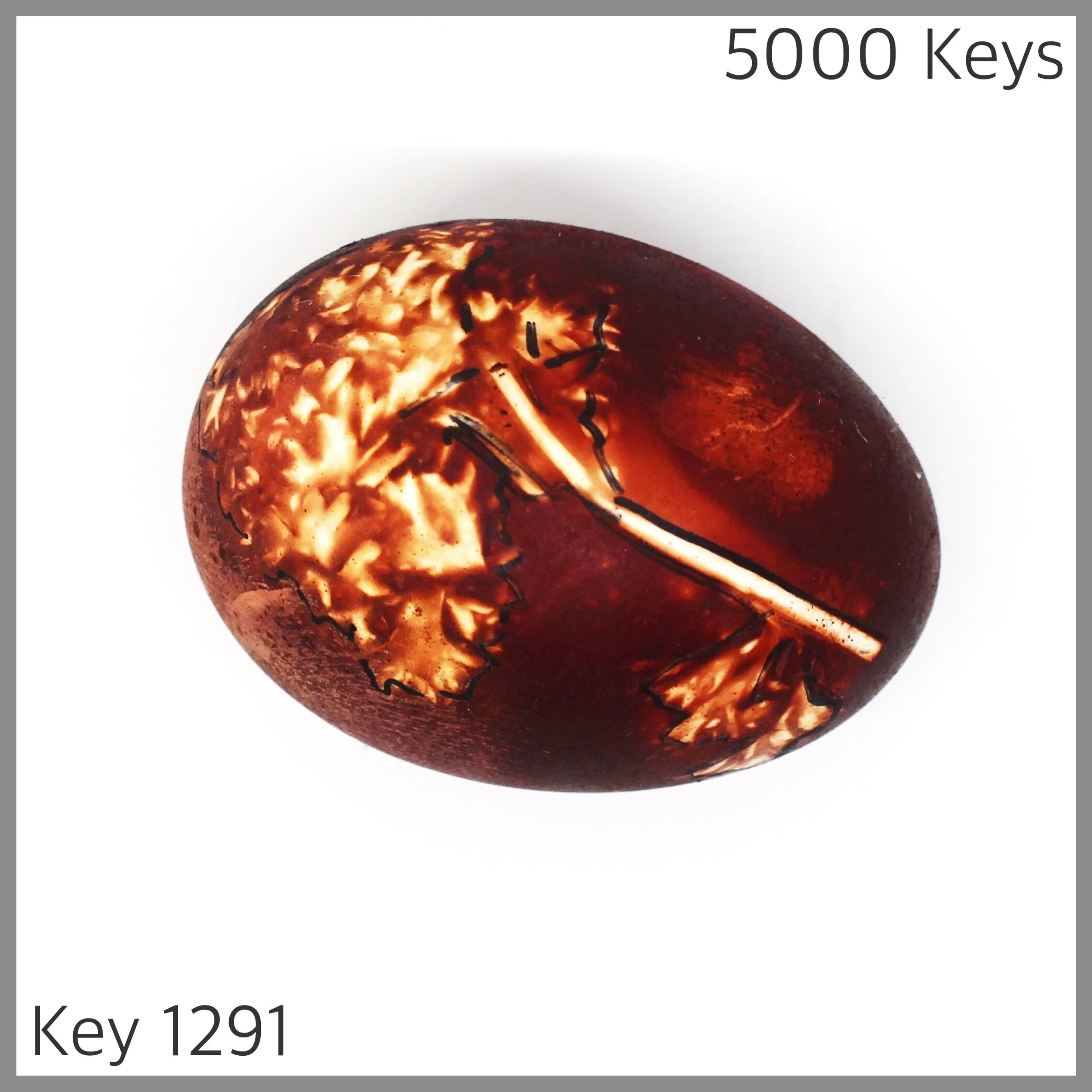 Key 1291 - 1.JPG