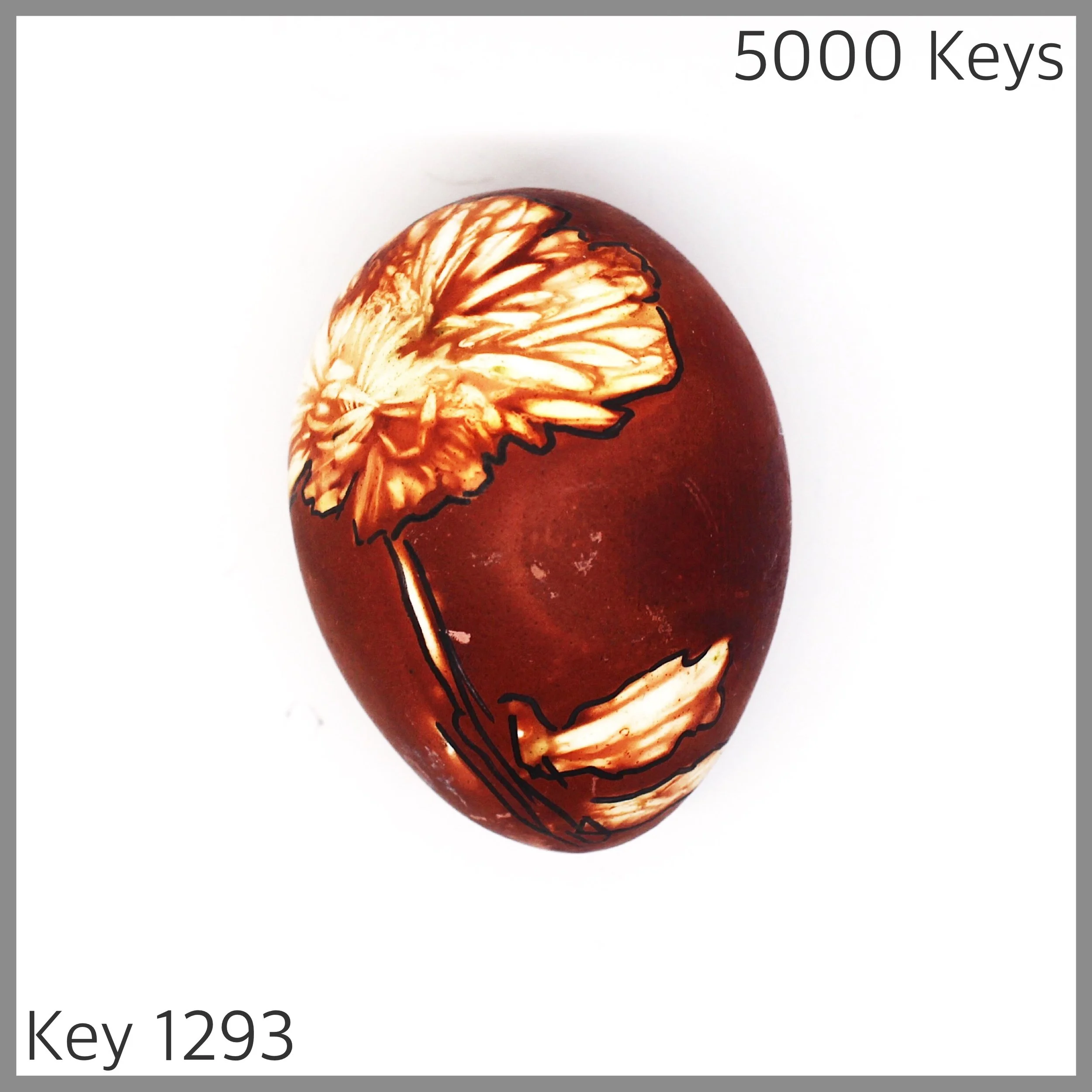 Key 1293 - 1.JPG