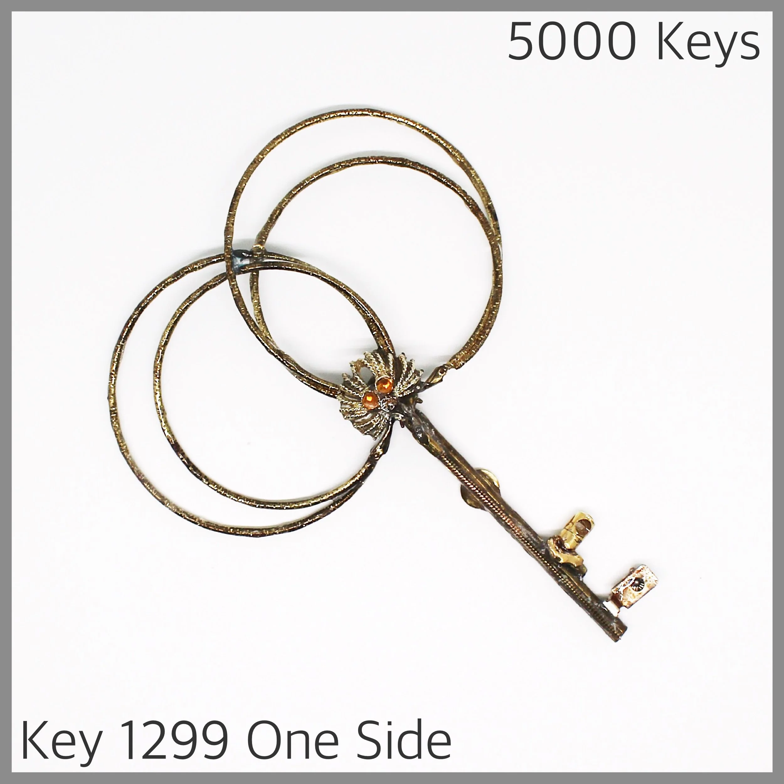 key 1299 one side - 1.JPG