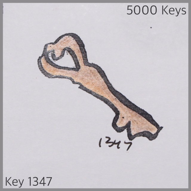 Key 1347 - 1.JPG
