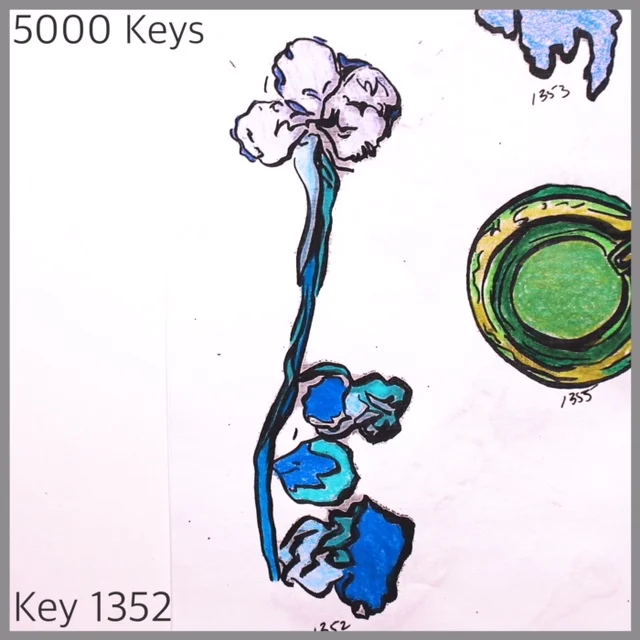 Key 1352 - 1.JPG