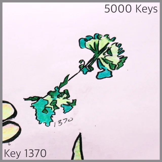 Key 1370 - 1.JPG