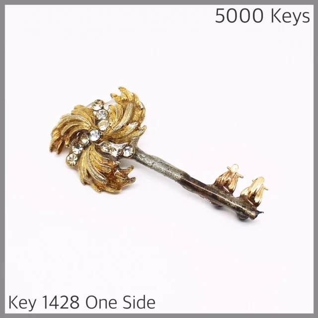 Key 1428 one side - 1.JPG