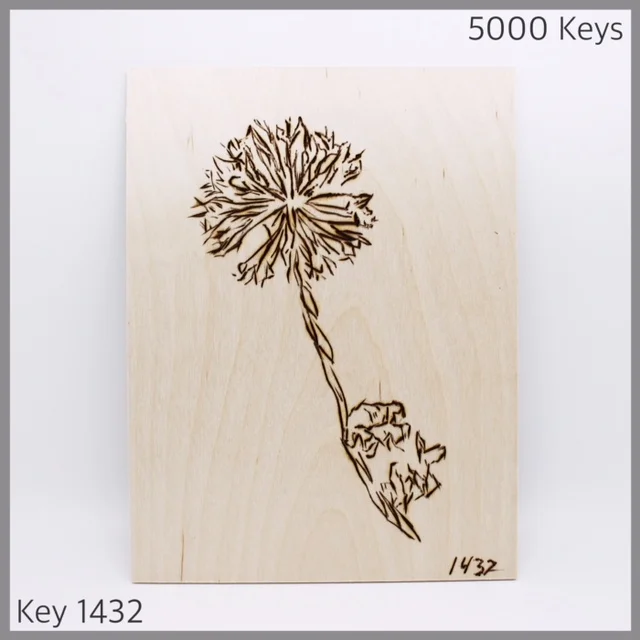 Key 1432 - 1.JPG