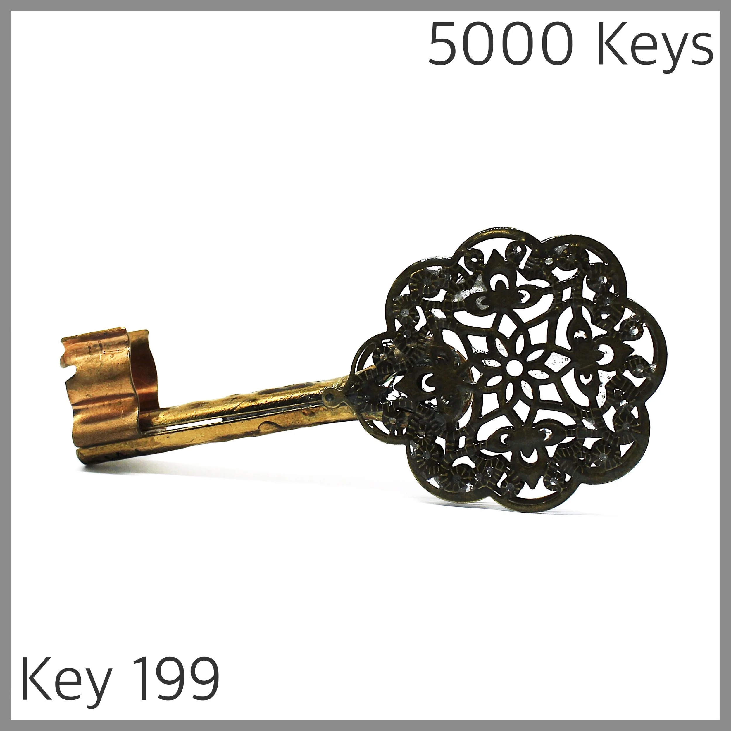 Key 199 - 1.JPG