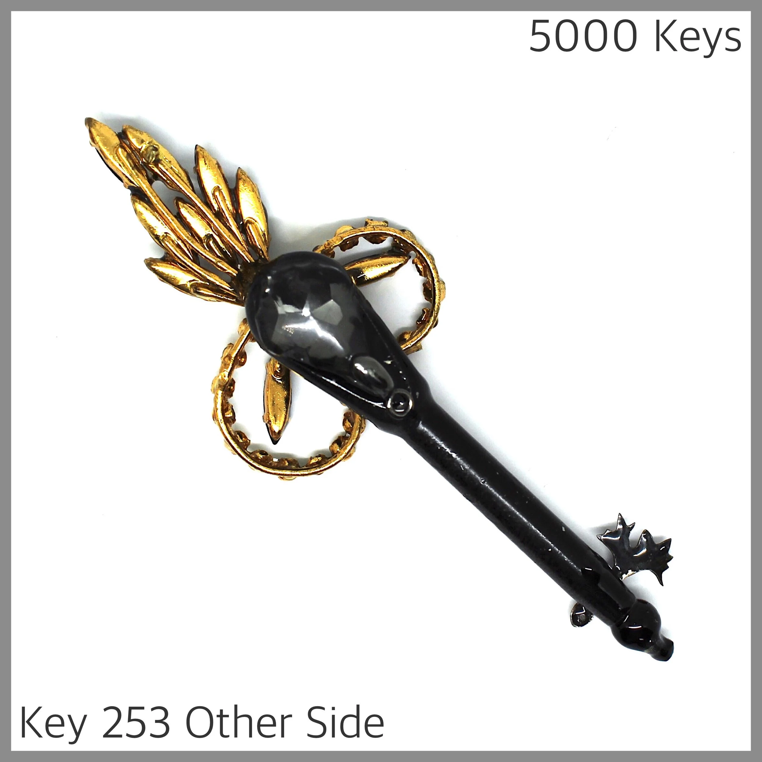 Key 253 other side - 1.JPG