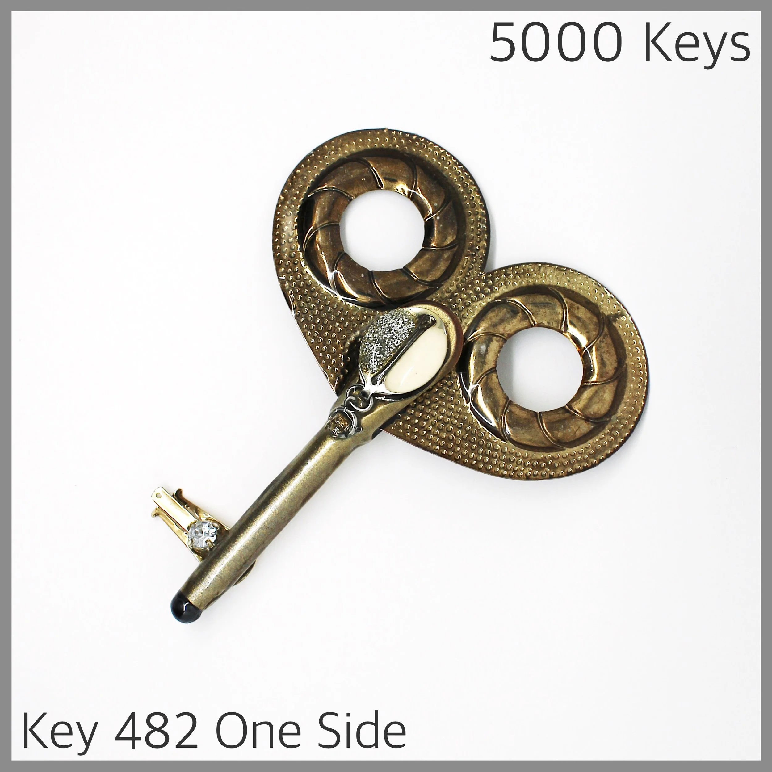 Key 482 one side - 1.JPG