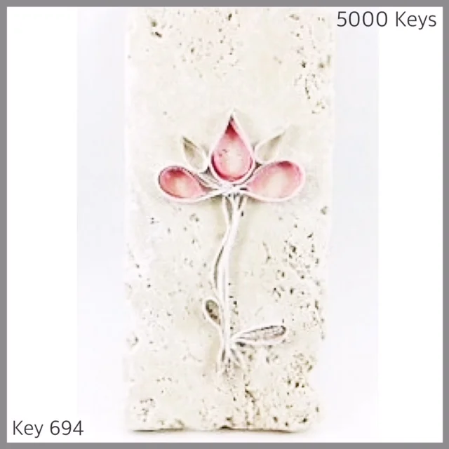 Key 694 - 1.JPG