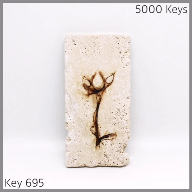 Key 695 - 1.JPG