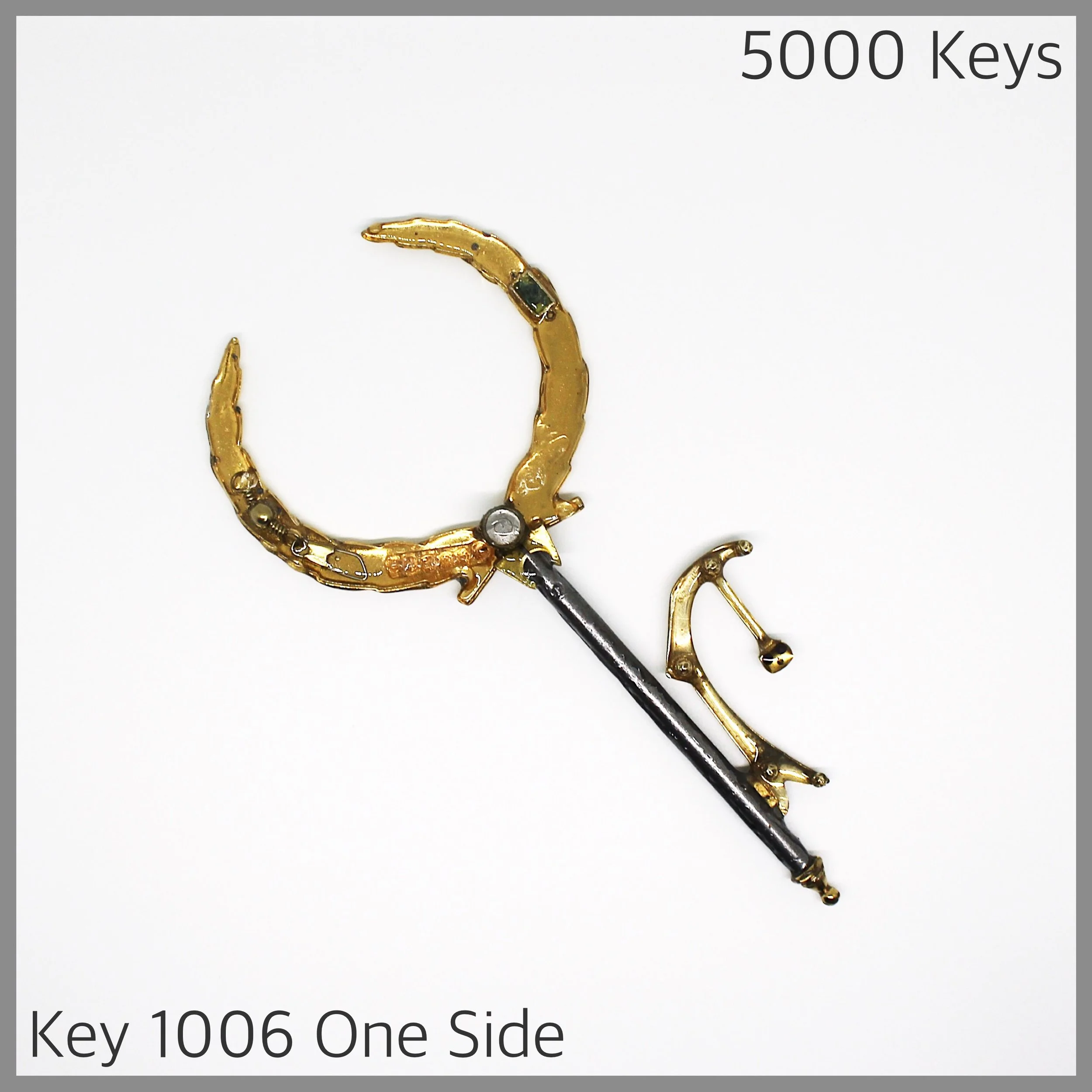 Key 1006 one side - 1.JPG