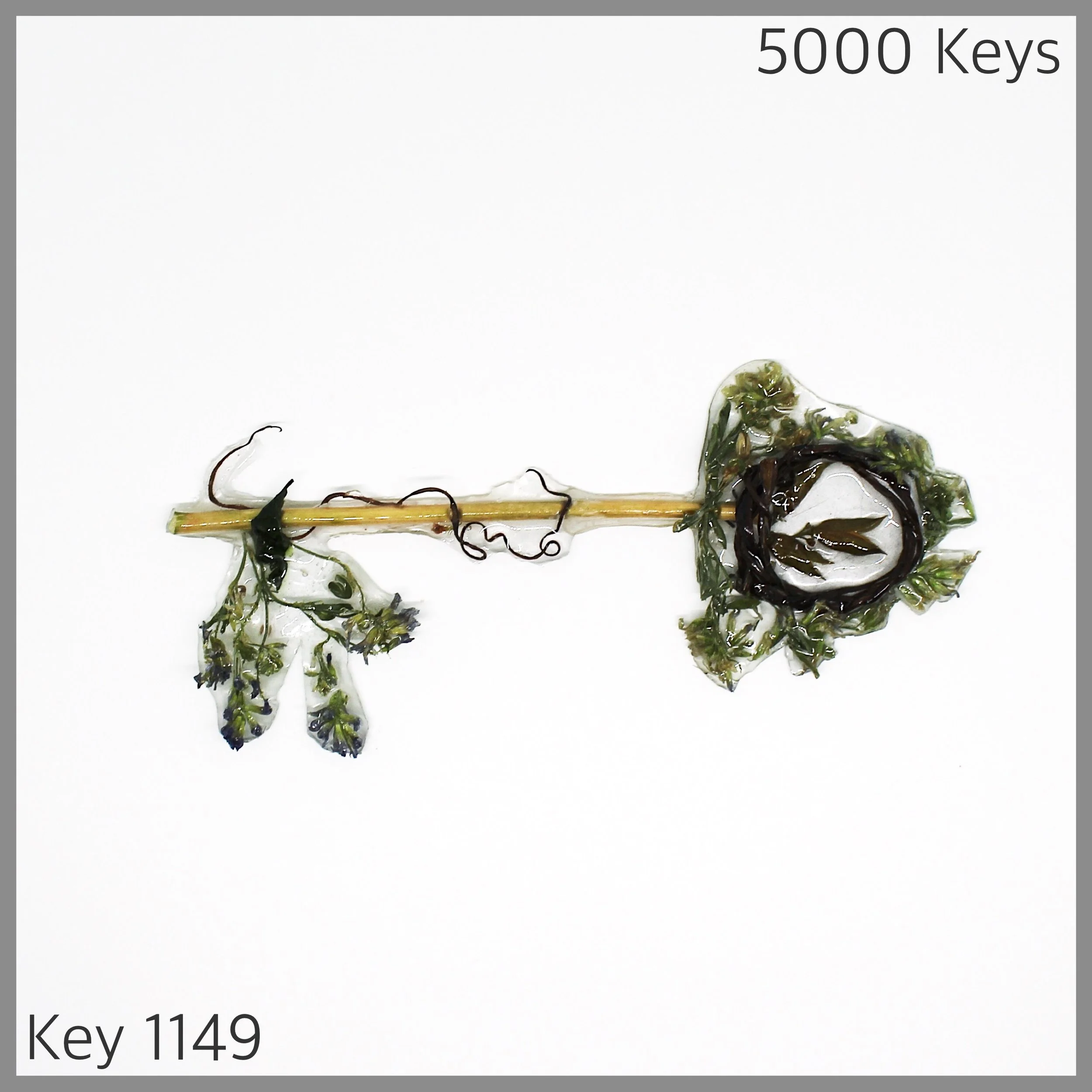 Key 1149 - 1.JPG