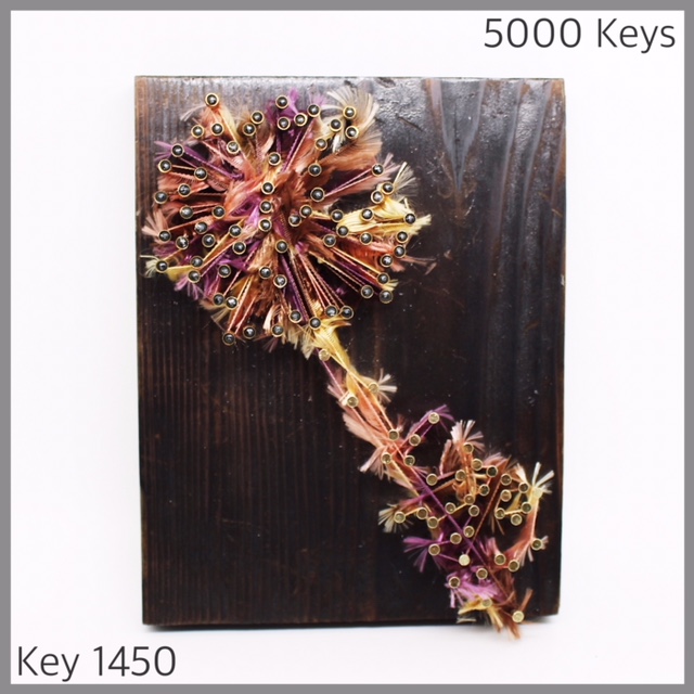 Key 1450 - 1.JPG