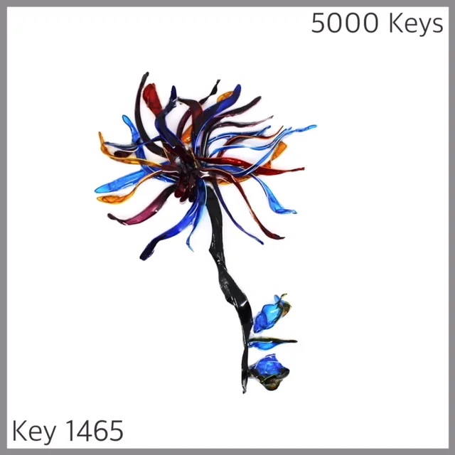 Key 1465 - 1.JPG