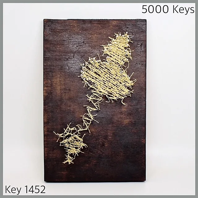 Key 1452 - 1.JPG