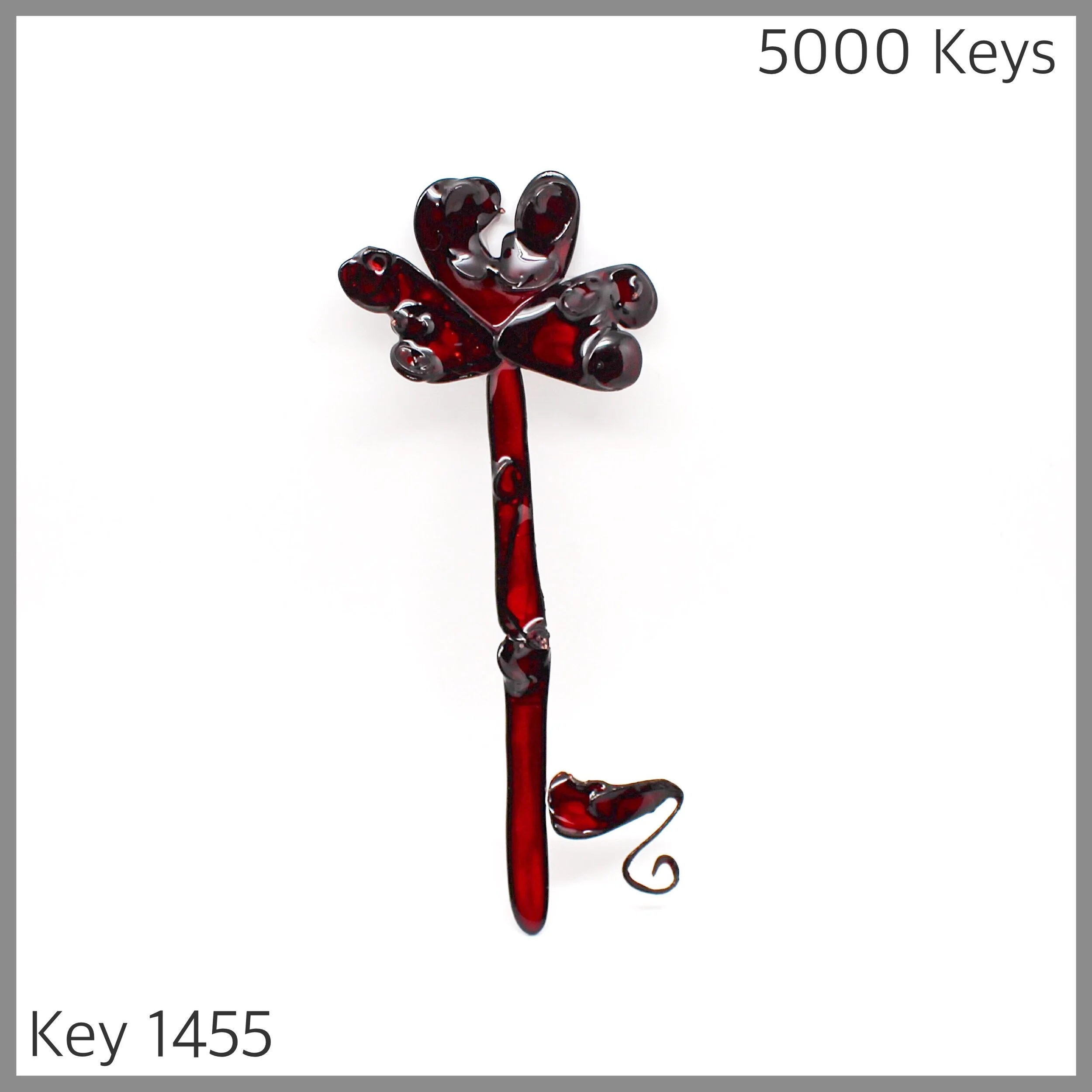 Key 1455 - 1.JPG