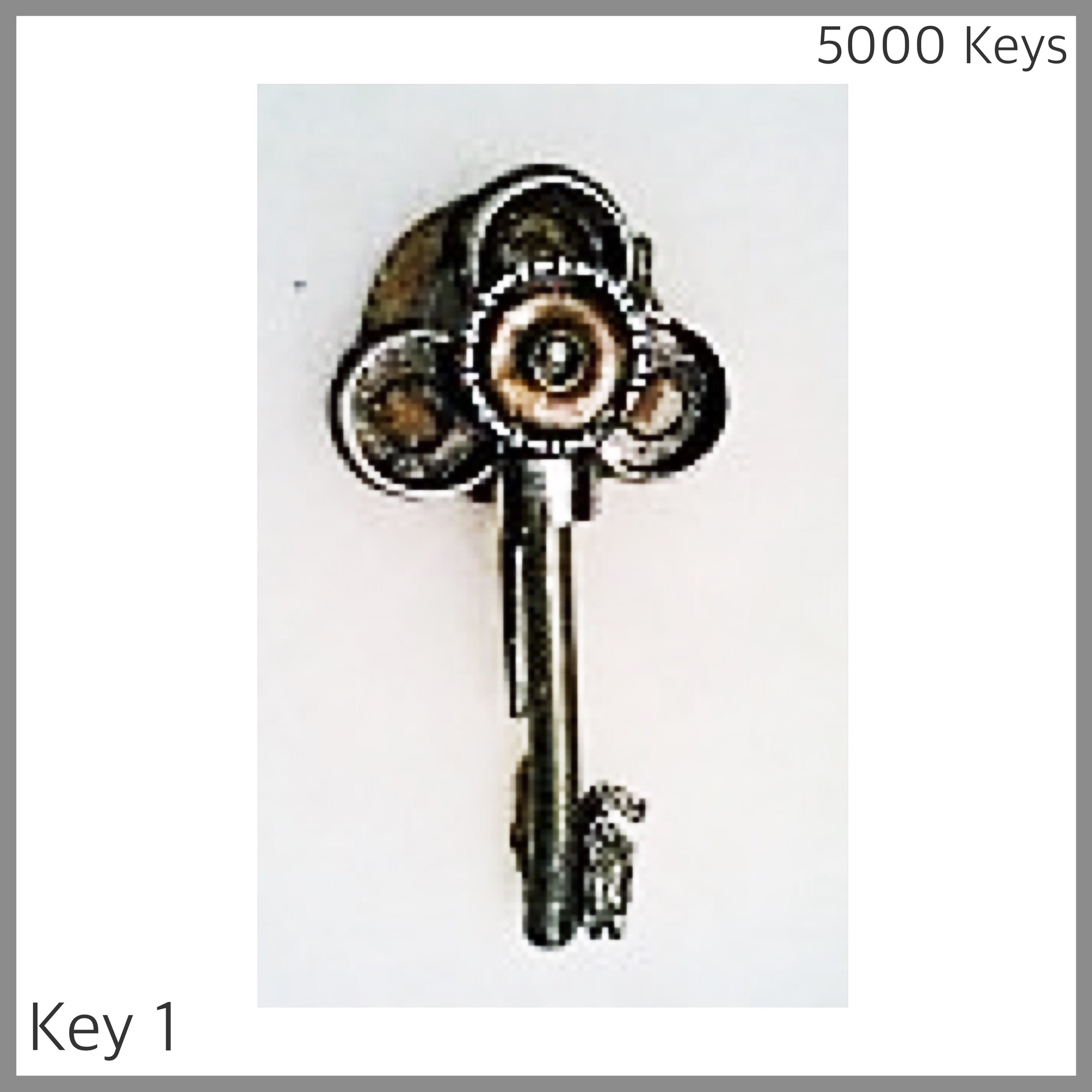 Key 1.jpg