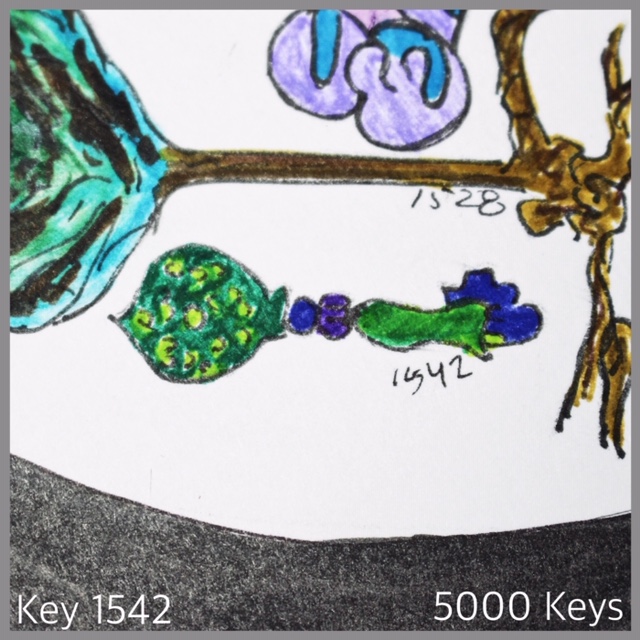 Key 1542 - 1.JPG