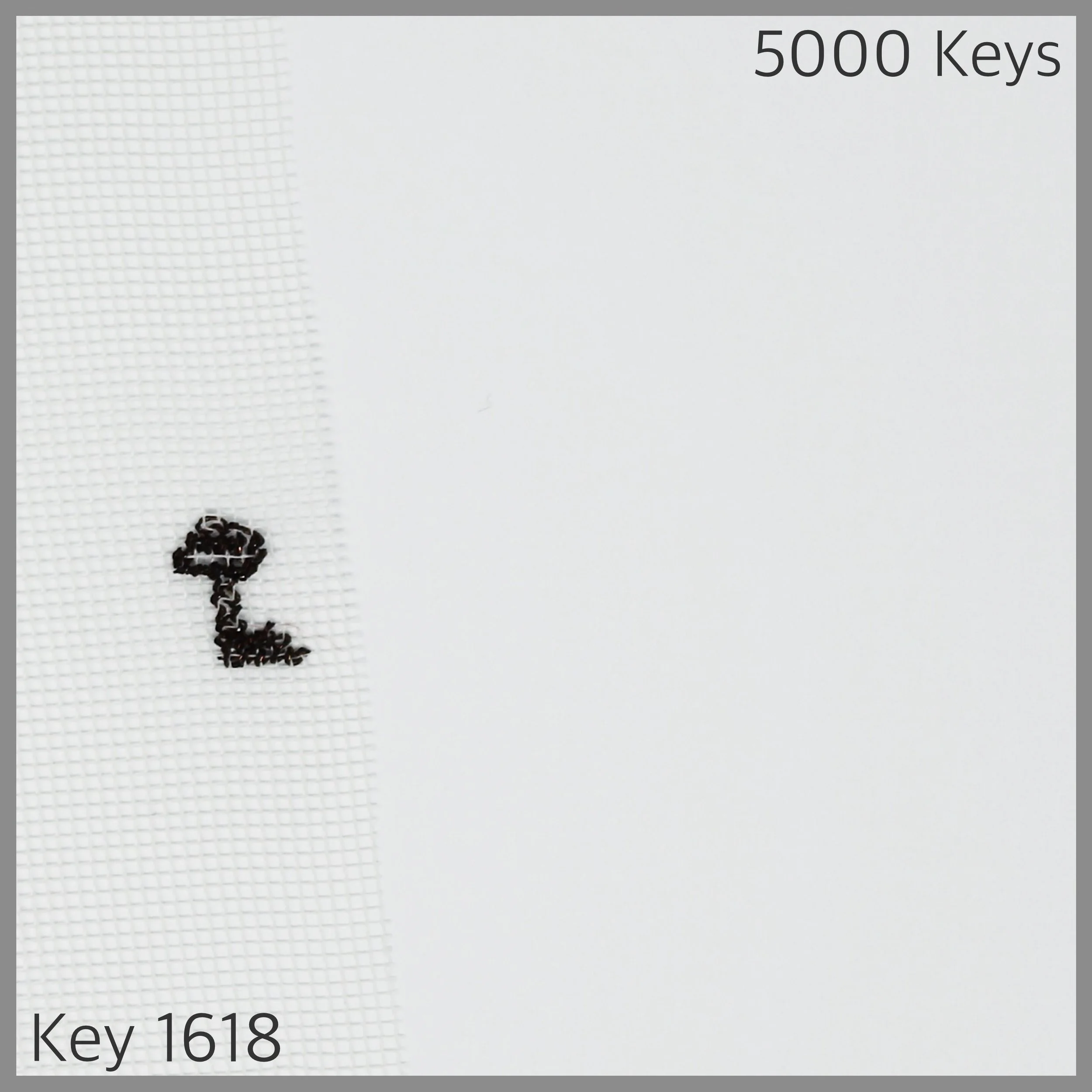 Key 1618 - 1.JPG