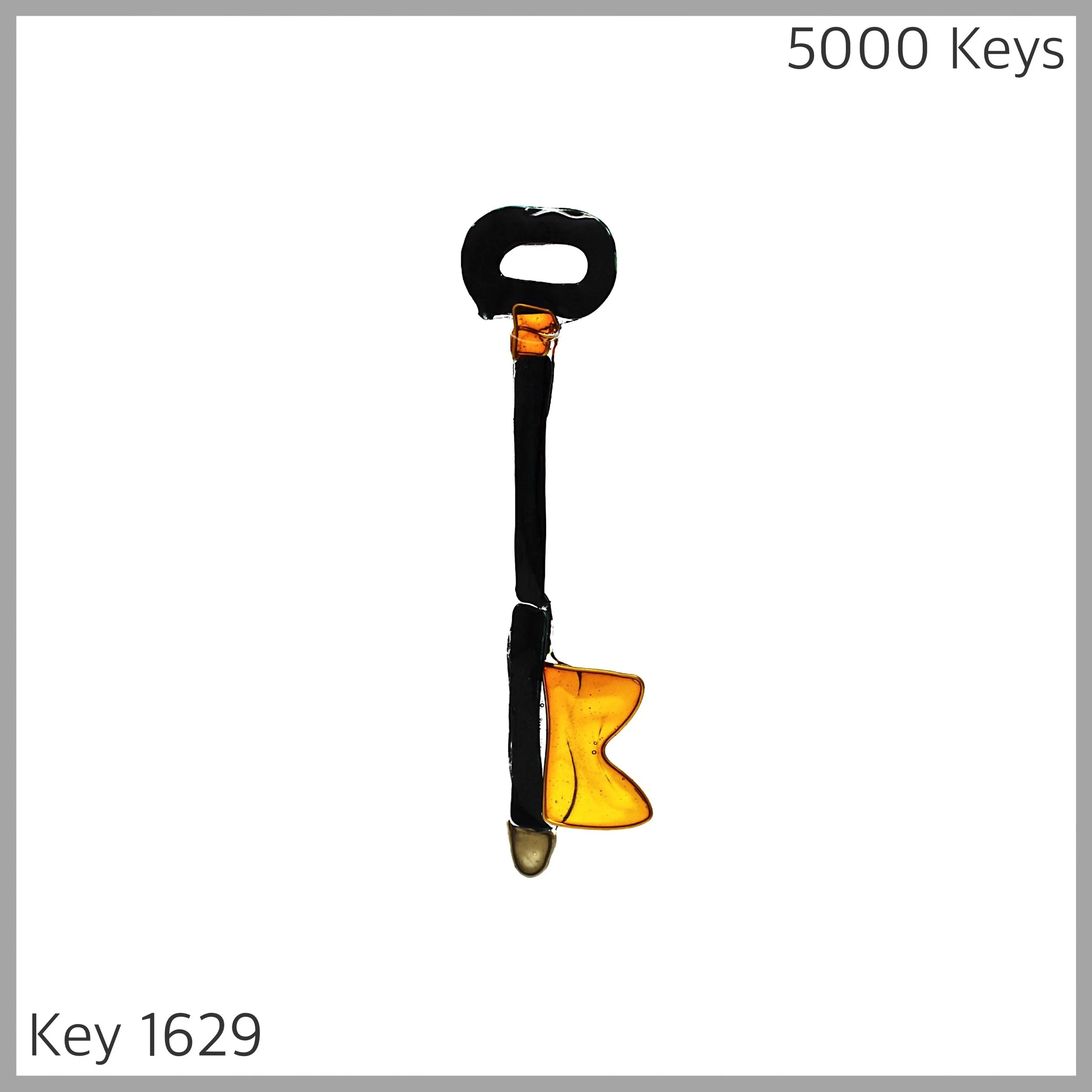 Key 1629 - 1.JPG