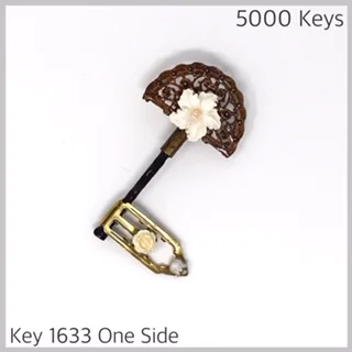 Key 1633 one side - 1.JPG