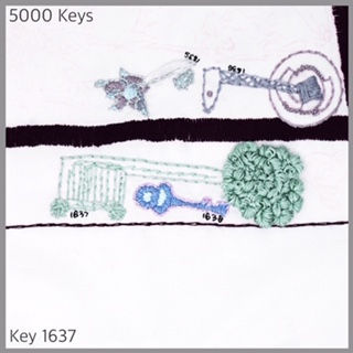 Key 1637 - 1.JPG