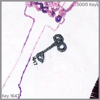 Key 1647 - 1.JPG