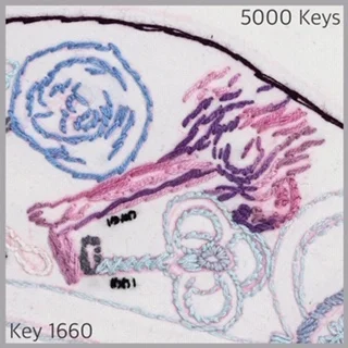 Key 1660 - 1.JPG