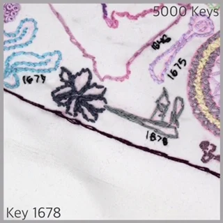 Key 1678 - 1.JPG