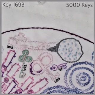 Key 1693 - 1.JPG