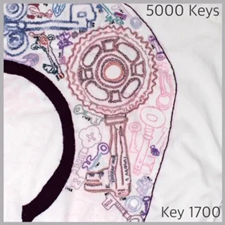 Key 1700 - 1.JPG