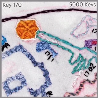 Key 1701 - 1.JPG