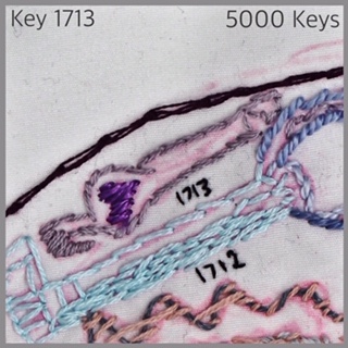 Key 1713 - 1.JPG